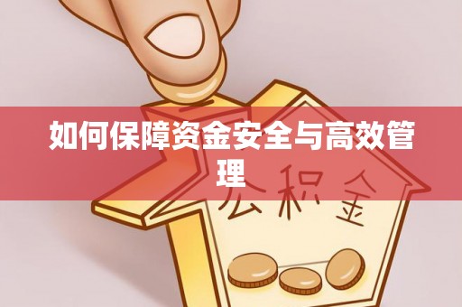 城东如何保障资金安全与高效管理