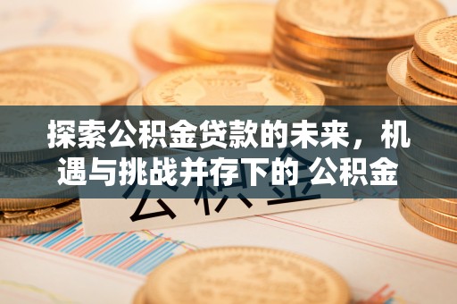 城东探索公积金贷款的未来，机遇与挑战并存下的 公积金贷款风险防控