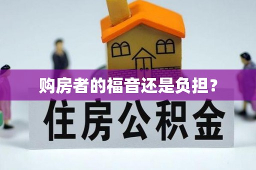 城东购房者的福音还是负担？