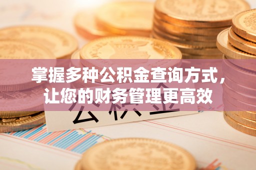 城东掌握多种公积金查询方式，让您的财务管理更高效