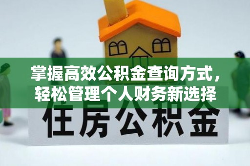 城东掌握高效公积金查询方式，轻松管理个人财务新选择