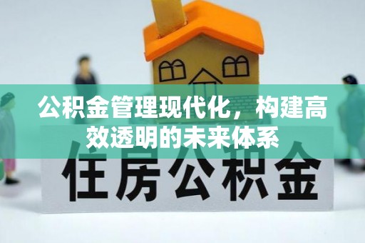 城东公积金管理现代化，构建高效透明的未来体系