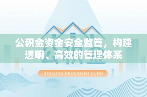 城东公积金资金安全监管，构建透明、高效的管理体系
