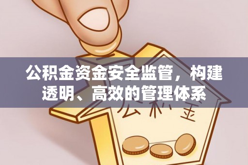 城东公积金资金安全监管，构建透明、高效的管理体系
