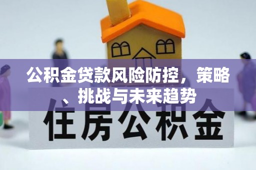 城东公积金贷款风险防控，策略、挑战与未来趋势