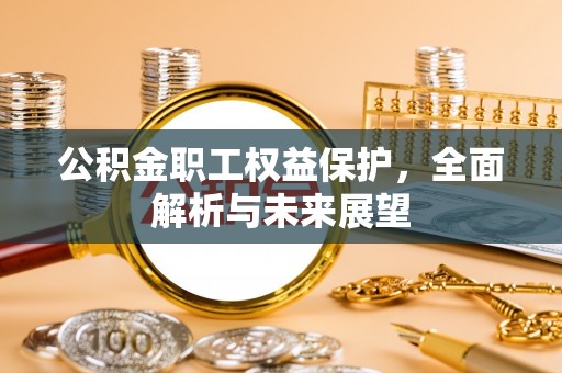 城东公积金职工权益保护，全面解析与未来展望
