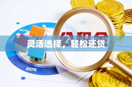 城东灵活选择，轻松还贷