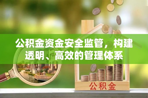 城东公积金资金安全监管，构建透明、高效的管理体系