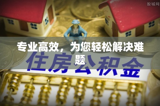 城东专业高效，为您轻松解决难题