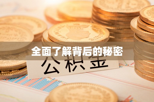 城东全面了解背后的秘密