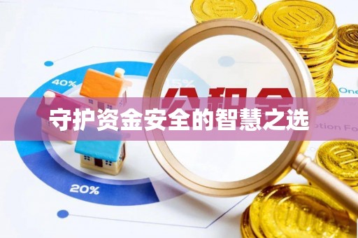 城东守护资金安全的智慧之选
